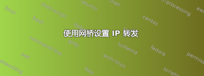 使用网桥设置 IP 转发