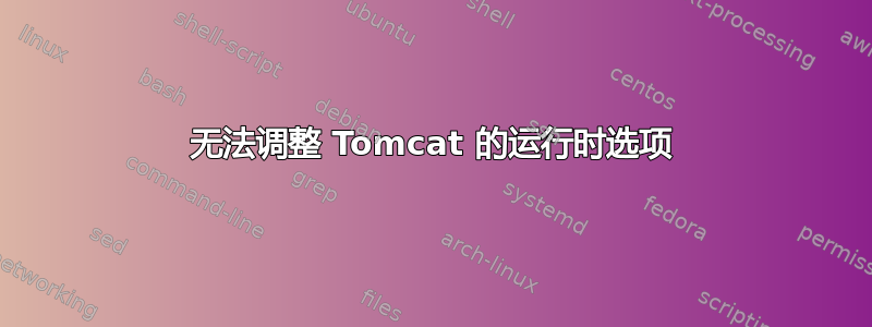 无法调整 Tomcat 的运行时选项