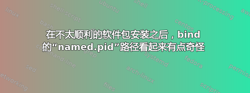 在不太顺利的软件包安装之后，bind 的“named.pid”路径看起来有点奇怪