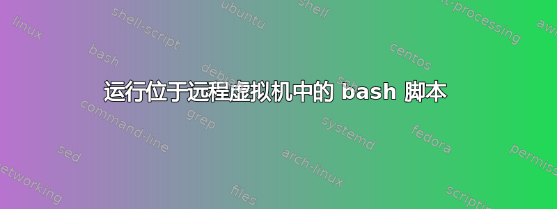 运行位于远程虚拟机中的 bash 脚本