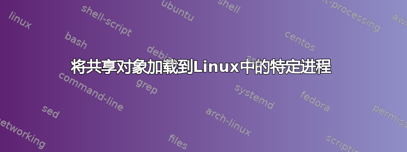 将共享对象加载到Linux中的特定进程