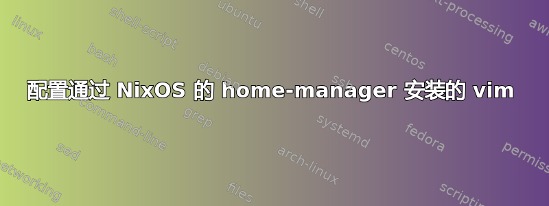 配置通过 NixOS 的 home-manager 安装的 vim