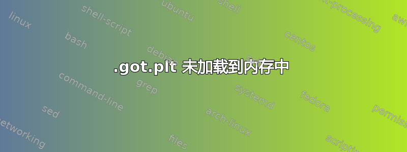 .got.plt 未加载到内存中