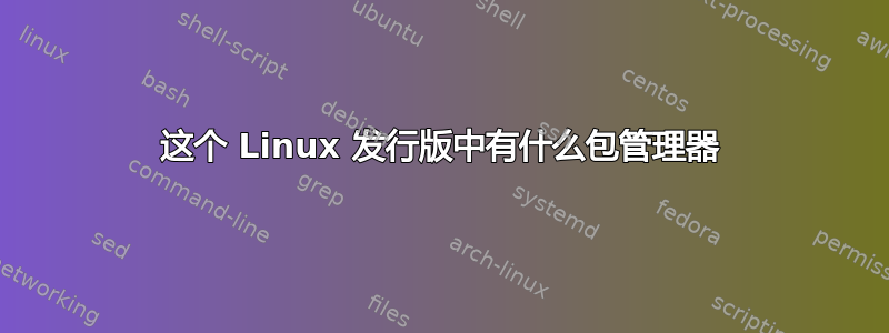 这个 Linux 发行版中有什么包管理器