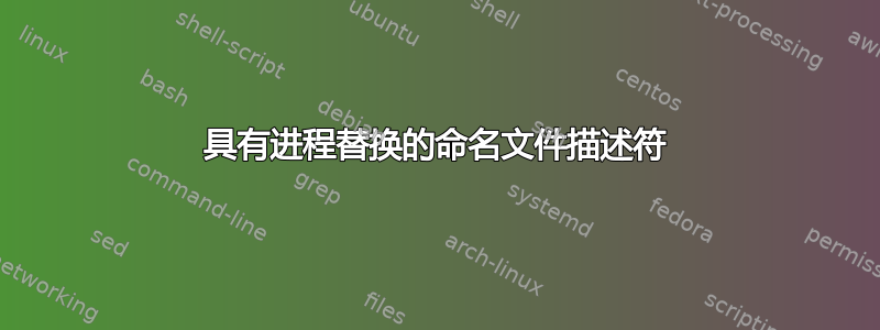 具有进程替换的命名文件描述符