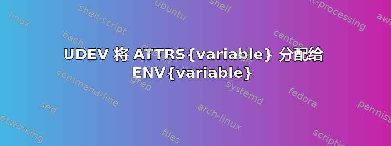 UDEV 将 ATTRS{variable} 分配给 ENV{variable}