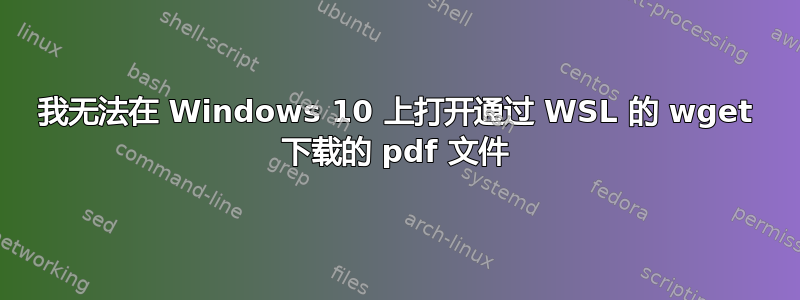 我无法在 Windows 10 上打开通过 WSL 的 wget 下载的 pdf 文件