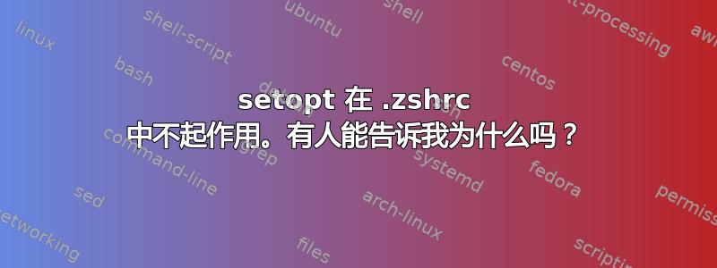 setopt 在 .zshrc 中不起作用。有人能告诉我为什么吗？