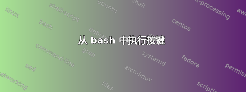 从 bash 中执行按键