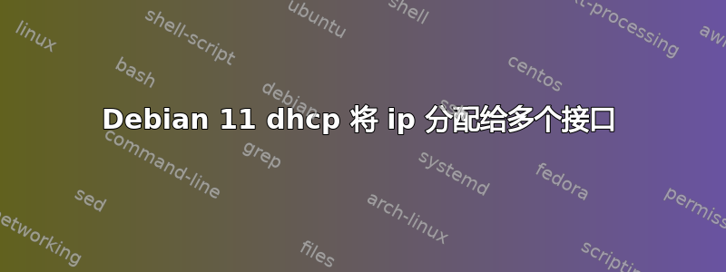 Debian 11 dhcp 将 ip 分配给多个接口