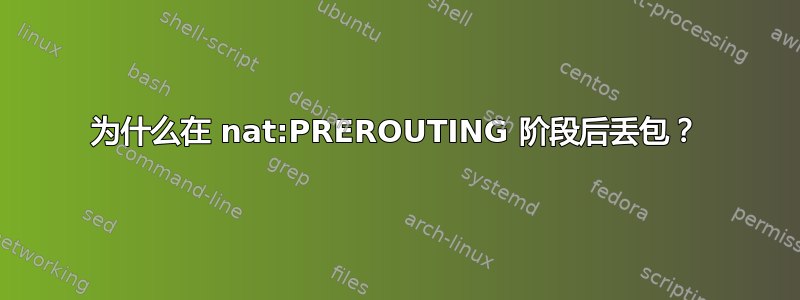 为什么在 nat:PREROUTING 阶段后丢包？