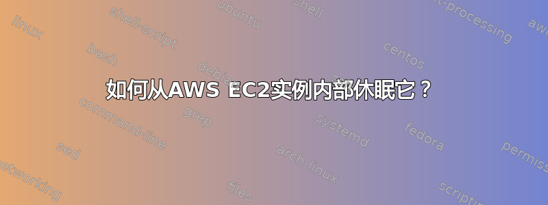 如何从AWS EC2实例内部休眠它？