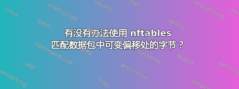 有没有办法使用 nftables 匹配数据包中可变偏移处的字节？