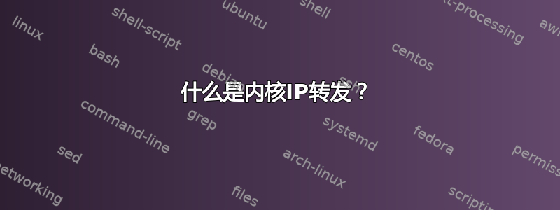 什么是内核IP转发？