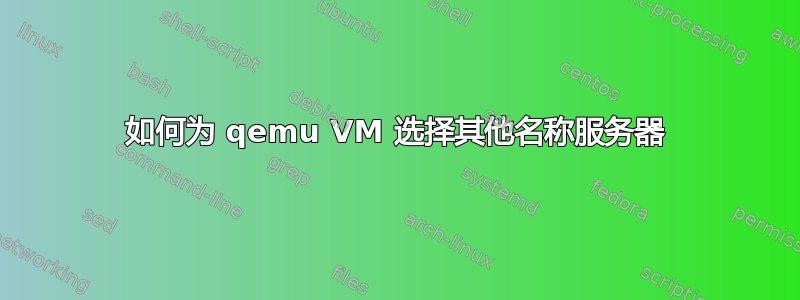 如何为 qemu VM 选择其他名称服务器