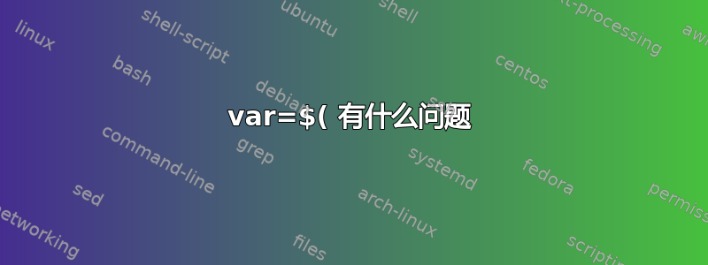 var=$( 有什么问题