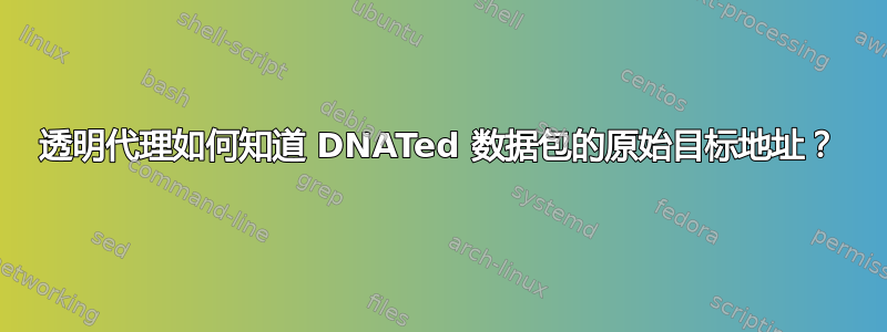 透明代理如何知道 DNATed 数据包的原始目标地址？