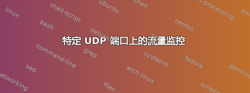 特定 UDP 端口上的流量监控