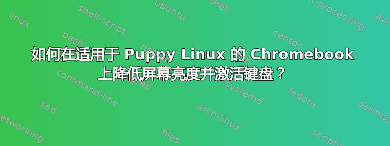 如何在适用于 Puppy Linux 的 Chromebook 上降低屏幕亮度并激活键盘？