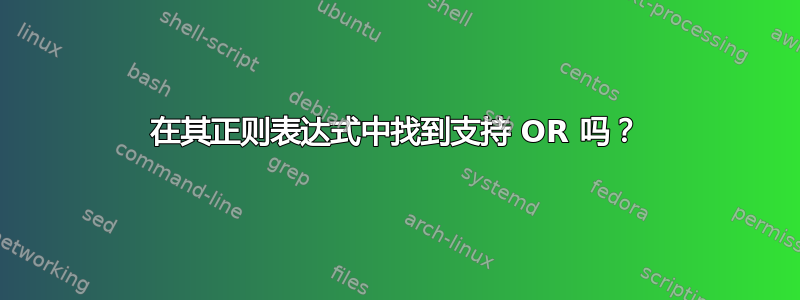 在其正则表达式中找到支持 OR 吗？