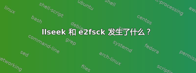 llseek 和 e2fsck 发生了什么？