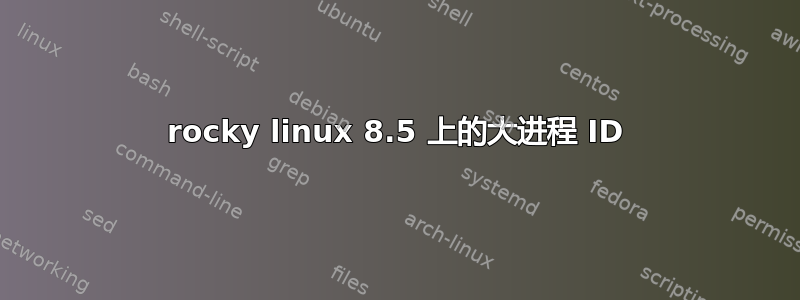 rocky linux 8.5 上的大进程 ID