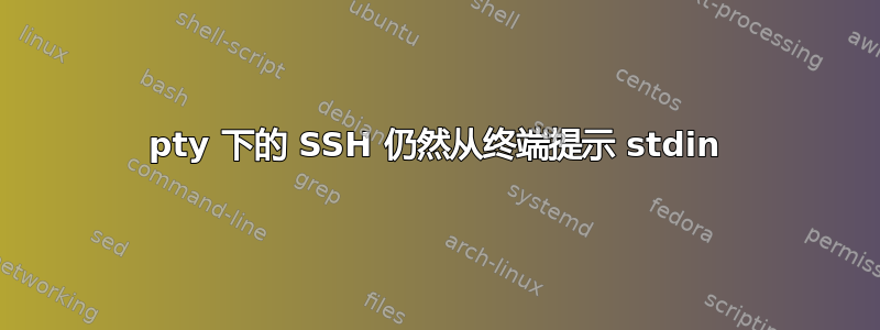 pty 下的 SSH 仍然从终端提示 stdin