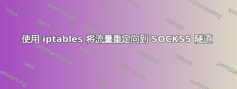 使用 iptables 将流量重定向到 SOCKS5 隧道