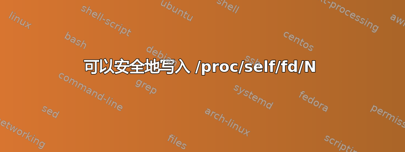 可以安全地写入 /proc/self/fd/N