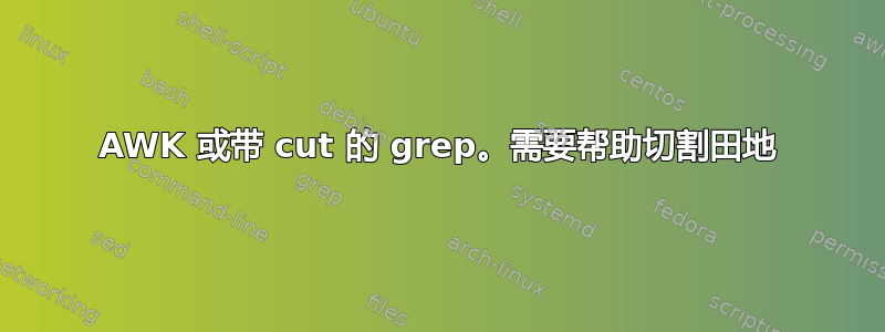 AWK 或带 cut 的 grep。需要帮助切割田地