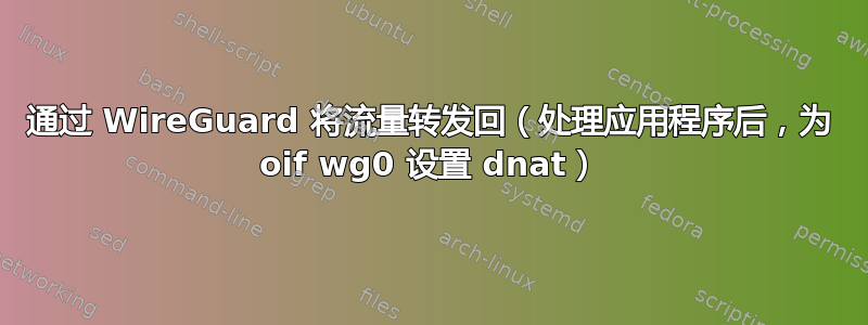 通过 WireGuard 将流量转发回（处理应用程序后，为 oif wg0 设置 dnat）