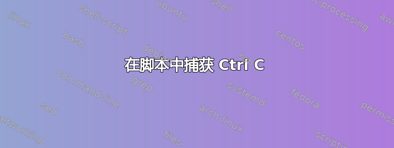 在脚本中捕获 Ctrl C