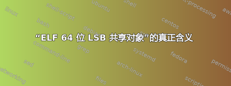 “ELF 64 位 LSB 共享对象”的真正含义