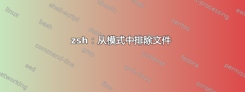 zsh：从模式中排除文件