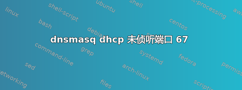 dnsmasq dhcp 未侦听端口 67