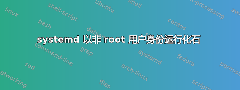 systemd 以非 root 用户身份运行化石