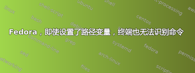 Fedora，即使设置了路径变量，终端也无法识别命令