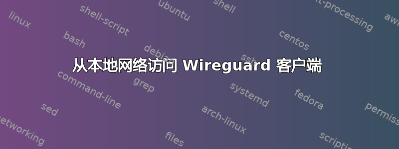 从本地网络访问 Wireguard 客户端