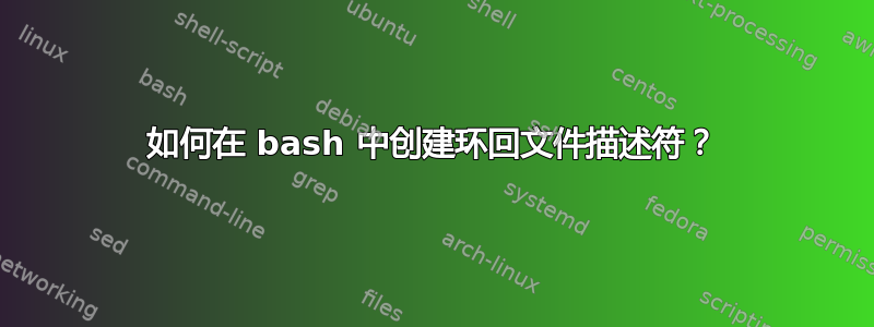 如何在 bash 中创建环回文件描述符？