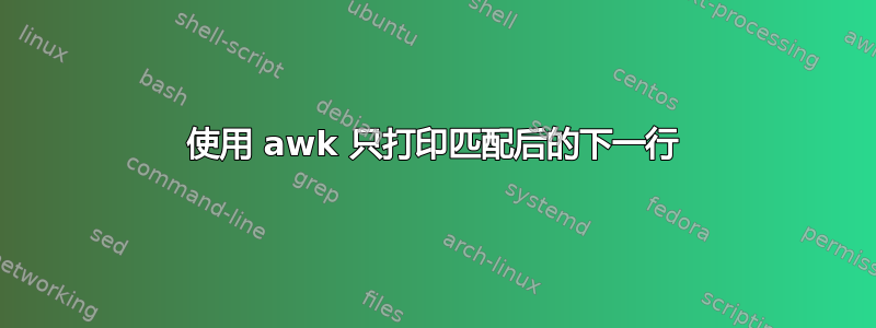 使用 awk 只打印匹配后的下一行