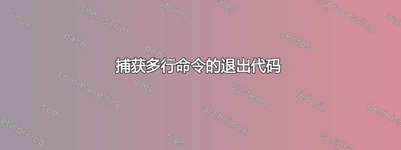 捕获多行命令的退出代码