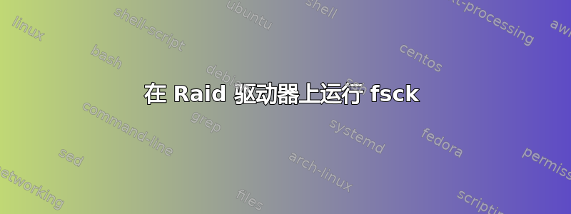 在 Raid 驱动器上运行 fsck