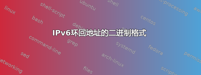 IPv6环回地址的二进制格式