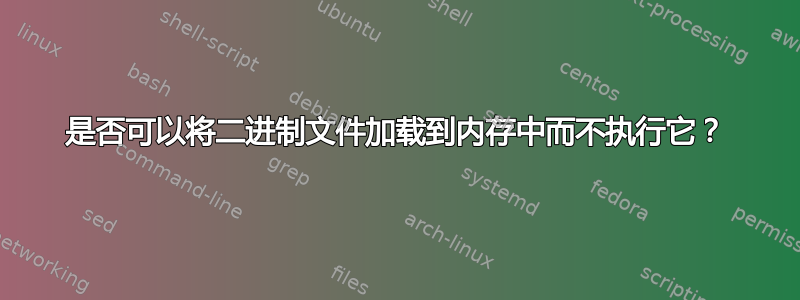 是否可以将二进制文件加载到内存中而不执行它？