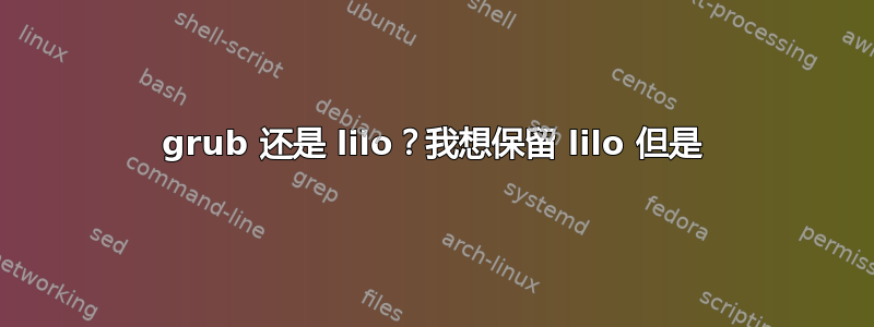 grub 还是 lilo？我想保留 lilo 但是