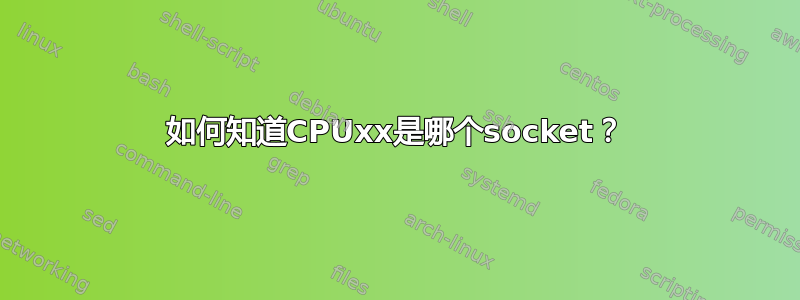 如何知道CPUxx是哪个socket？