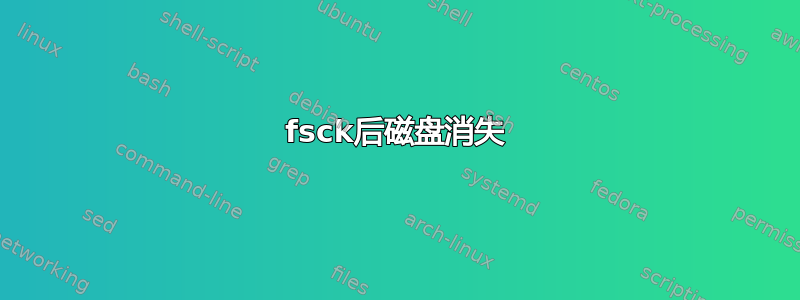 fsck后磁盘消失