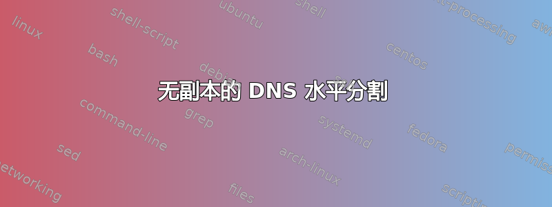 无副本的 DNS 水平分割