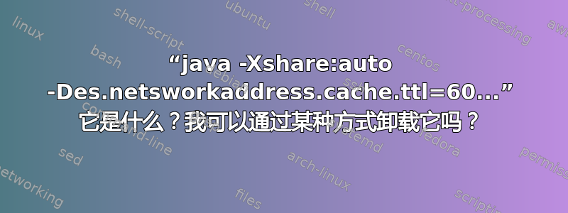 “java -Xshare:auto -Des.netsworkaddress.cache.ttl=60...” 它是什么？我可以通过某种方式卸载它吗？