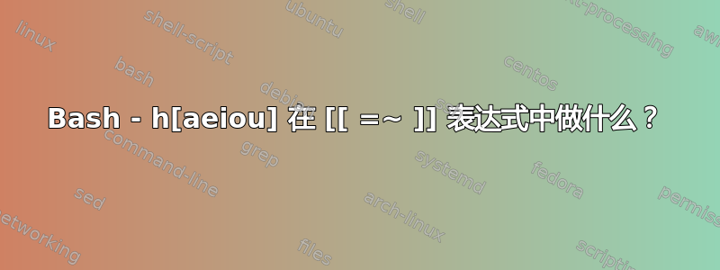 Bash - h[aeiou] 在 [[ =~ ]] 表达式中做什么？